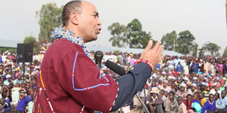 Peter Kenneth in 2012