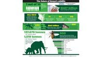 wildlife infographic1